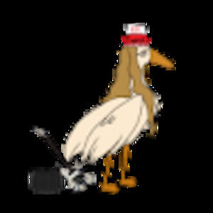 Meet your Posher, Caden